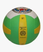 three-colors-masters-volleyball