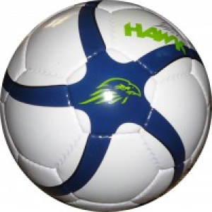 Futsal Ball White & Blue – Premium Futsal Football Online in Germany