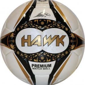 Buy Footballs Online in Germany – Best Deals & Affordable Prices at SELECT Sport