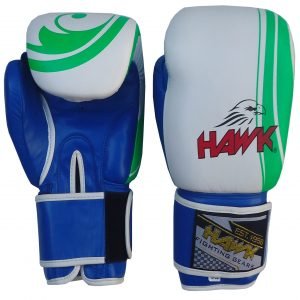 Hawk® Inspire Boxing Gloves – Premium Boxing & Training Gloves