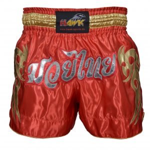 Hawk Boxing Lace Up Gloves, Traditional Training Hook Loop